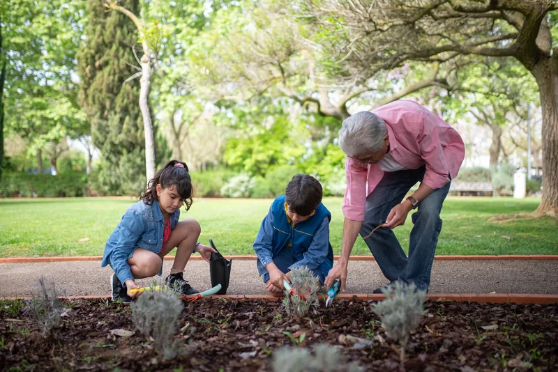 Grandparents gardening with two grandchildren in a park